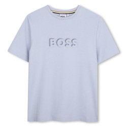 Hugo Boss Pale Blue fancy logo t-shirt 